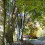 DSC00552