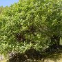 DSC00164