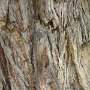 DSC00167