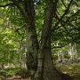 DSC00168