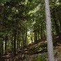 DSC00170