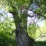 DSC00173