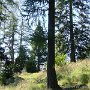 DSC00174