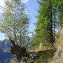 DSC00179