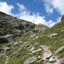 IMG_0541