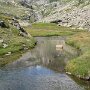 IMG_0550