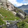IMG_0551
