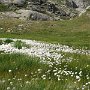 IMG_0552