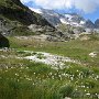 IMG_0553