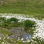 IMG_0555