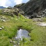 IMG_0558