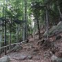 IMG_3693