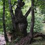 IMG_3697