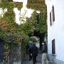 IMG_4003