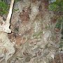 IMG_4005
