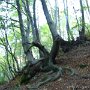 IMG_4008