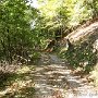 IMG_4009