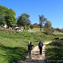 IMG_4010