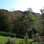 IMG_4011