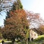 IMG_4016