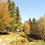 IMG_4019