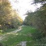 IMG_4020