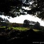 IMG_4026