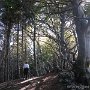 IMG_4030