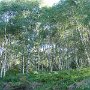 DSC00089