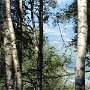 DSC00090
