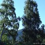 DSC00091