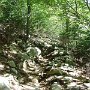 DSC00094