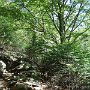 DSC00095