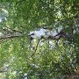 DSC00096