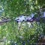 DSC00097