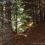 DSC00098