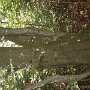 DSC00099