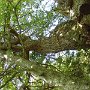 DSC00100