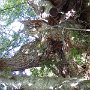 DSC00101