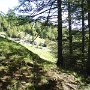 DSC00102