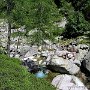 Dsc00044