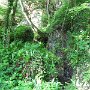 IMG_3220
