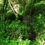 IMG_3221