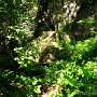 IMG_3223