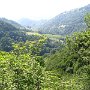 IMG_3224