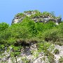 IMG_3228