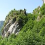 IMG_3229