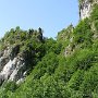 IMG_3230