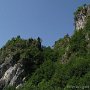 IMG_3231