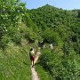 IMG_3234